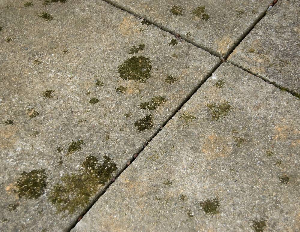 Can Pavers Be Stained Everything You, Staining Concrete Patio Stones