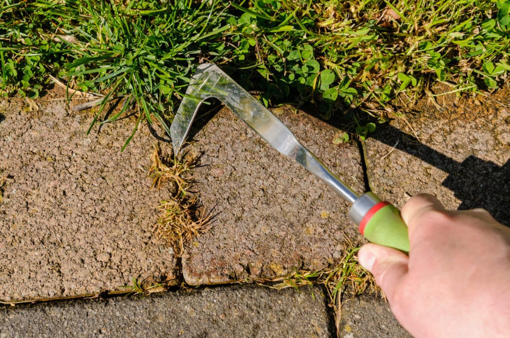 tool used to clean weeds between pavers
