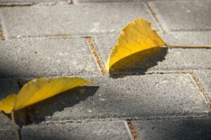 Leaves Staining Pavers