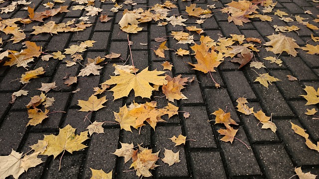 Leaves Staining Pavers