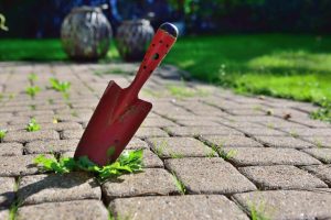Tools to remove weeds between pavers